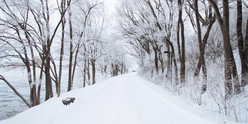 乐鱼体育登陆-森林狼夺冠赔率从100倍狂飙至25倍，爱德华兹带伤复出引爆逆袭